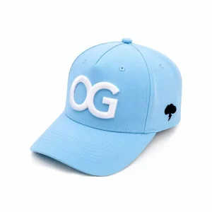 Hall of Fame OG blue curved brim snapback with white logo and aeroplane embroidery
